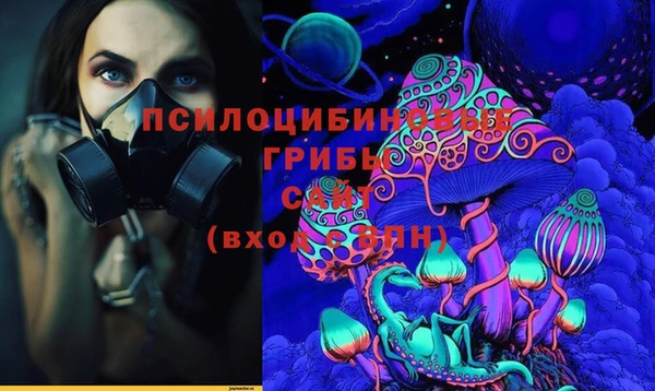 хмурый Армянск