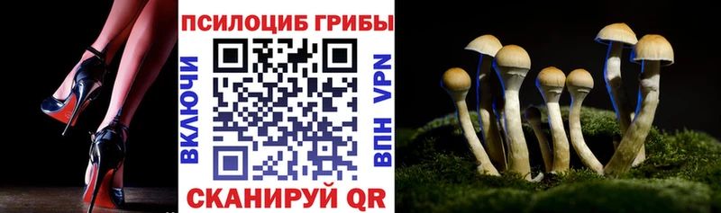 Псилоцибиновые грибы Psilocybine cubensis  цена   hydra как войти  Сорочинск 